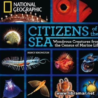CITIZENS OF THE SEA — WONDROUS CREATURES FROM THE SENSUS OF MARINE LIFE
