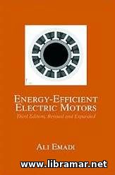 Energy-Efficient Electric Motors