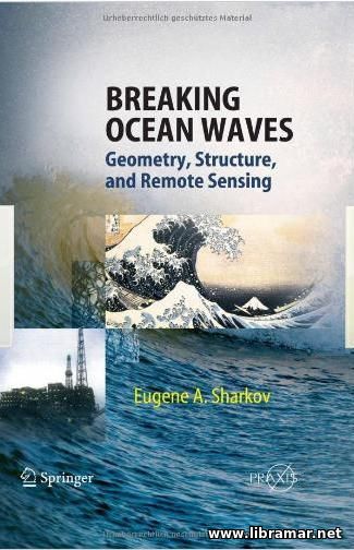 BREAKING OCEAN WAVES: GEOMETRY, STRUCTURE AND REMOTE SENSING