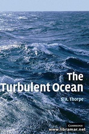 THE TURBULENT OCEAN