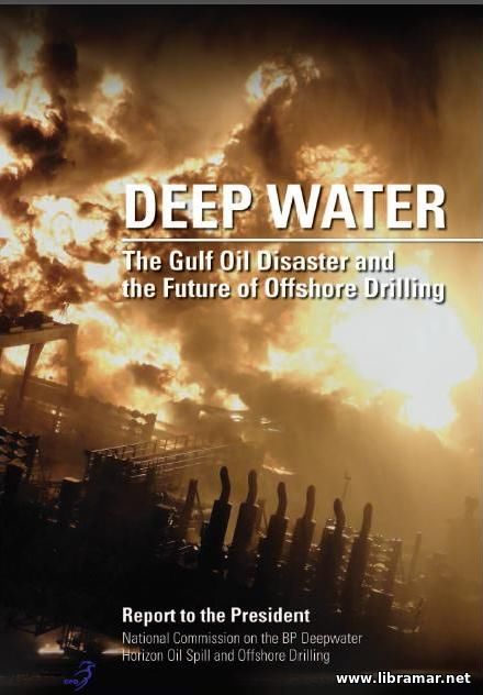 DEEP WATER — THE GULF OIL DISASTER AND THE FUTURE OF OFFSHORE DRILLING
