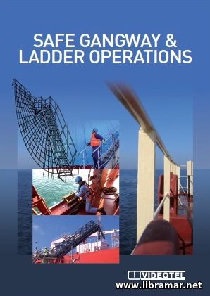 Safe Gangway and Ladder Operations