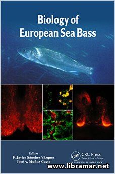 BIOLOGY OF EUROPEAN SEA BASS