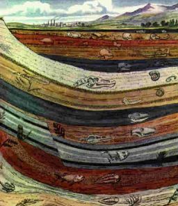 Stratigraphy Stratigraphy