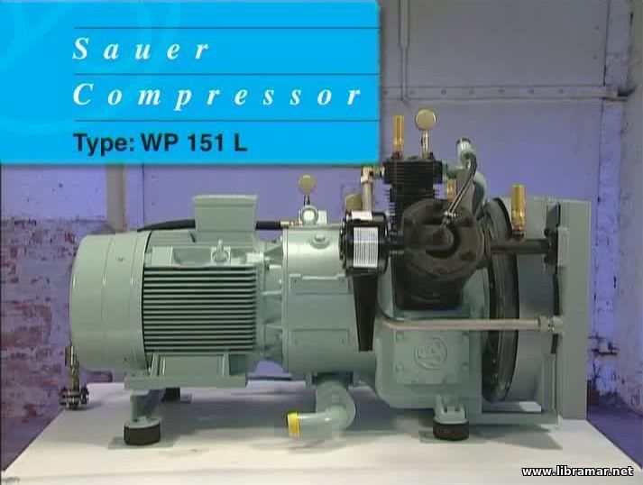 sauer air compressor